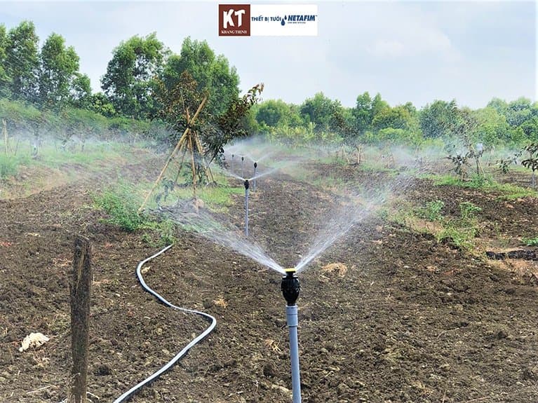 ĐẦU PHUN MEGANET 24D 2