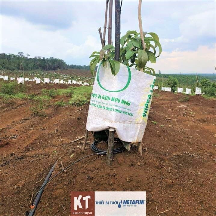 DÂY NHỎ GIỌT KHÔNG BÙ ÁP MICRODRIP 2
