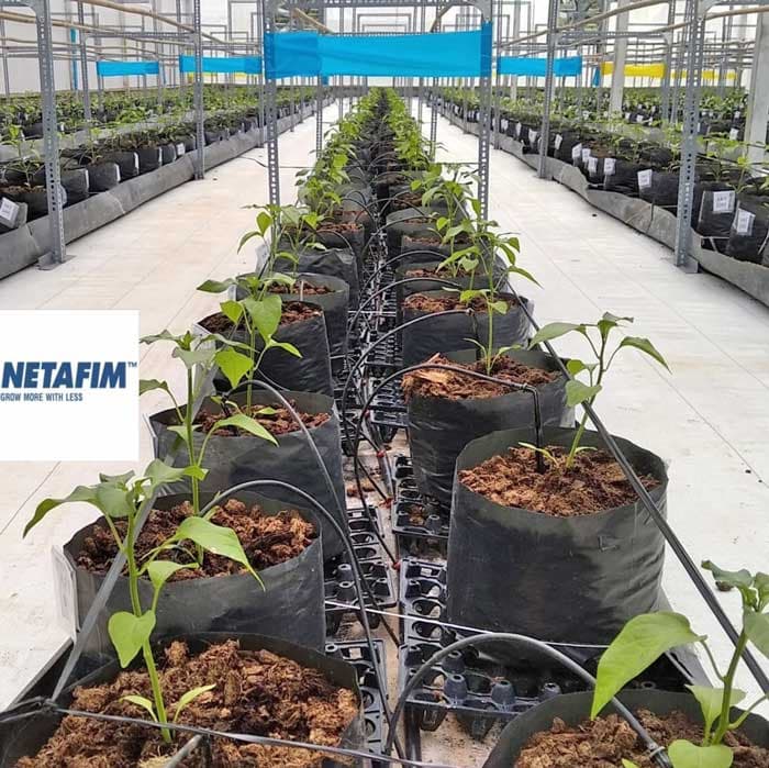 Đầu tưới cây nhỏ giọt mũi tên Arrow Dripper